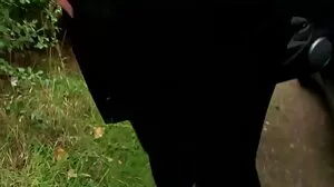 Орален винт със съблазнителен porno klipove hd Bri Klein от ExCoGi