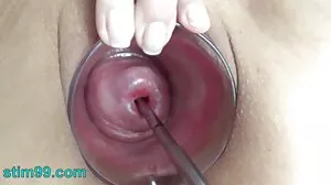 Кучешка сцена с великолепна Cherry Kiss и Tiffany Rousso от Private porno klipove za pari