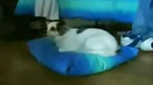 Лора Орсоля